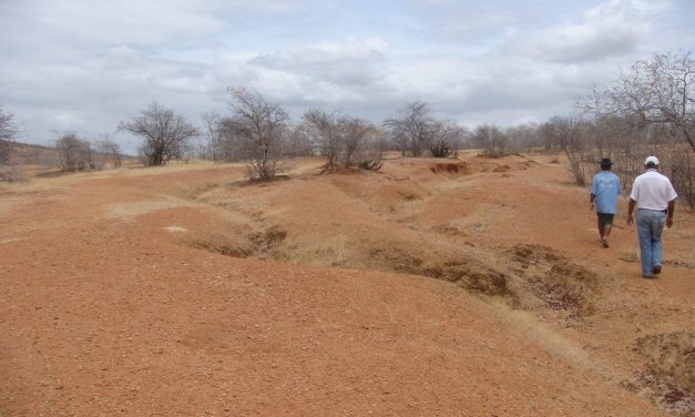 II Encontro de Iniciativas e Estudos de Combate à Desertificação no Ceará ocorrerá no mês de maio, em Quixadá